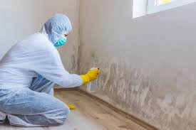 Why You Should Choose Our Mold Remediation Services in Alta Sierra, CA